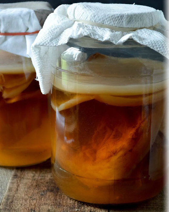 康普茶菌膜.jpg 康普茶菌膜.jpg